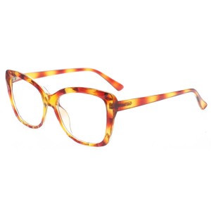 Plastic Reading Glasses